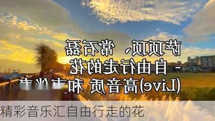 精彩音乐汇自由行走的花