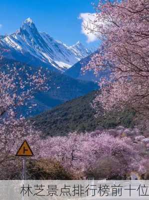 林芝景点排行榜前十位