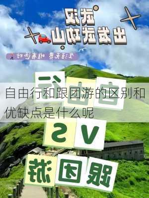 自由行和跟团游的区别和优缺点是什么呢