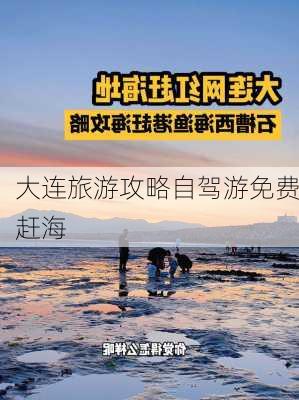 大连旅游攻略自驾游免费赶海