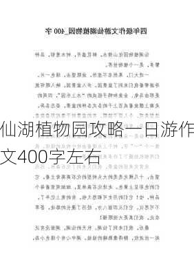 仙湖植物园攻略一日游作文400字左右