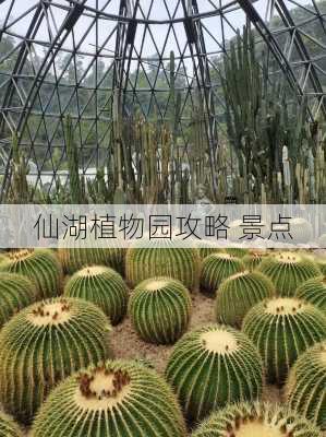 仙湖植物园攻略 景点