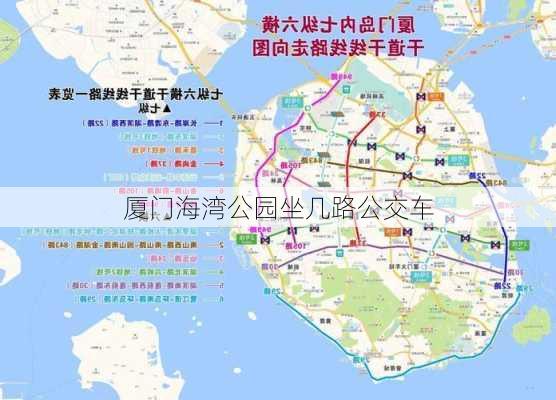 厦门海湾公园坐几路公交车