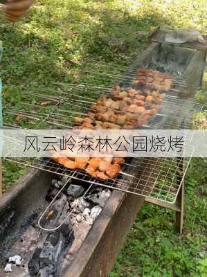 风云岭森林公园烧烤