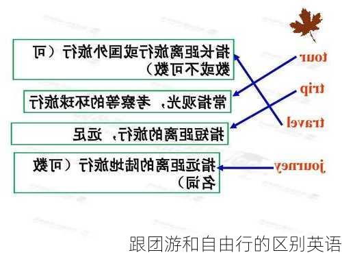 跟团游和自由行的区别英语