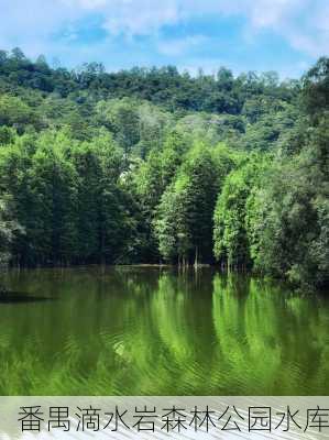 番禺滴水岩森林公园水库